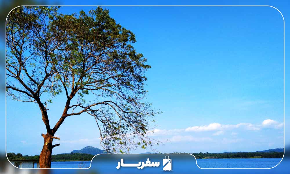 درختان و طبیعت زیبای دریاچه ماهیانگانایا سورابورا 