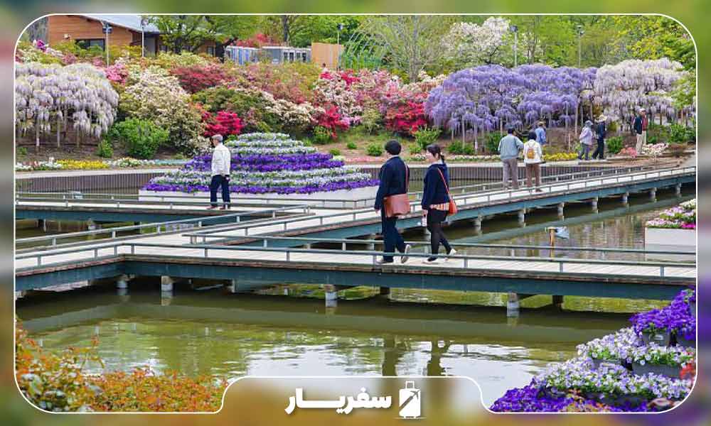گردش مسافران و شهروندان در  پارک گل‌های آشیکاگا 